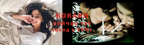 каннабис Белокуриха
