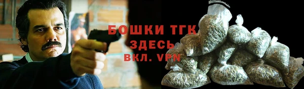ECSTASY Богородицк