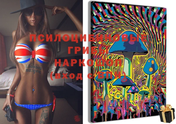 ECSTASY Богородицк