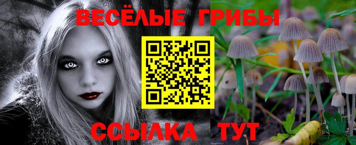 Галлюциногенные грибы ЛСД  Вход с VPN  Улан-Удэ 